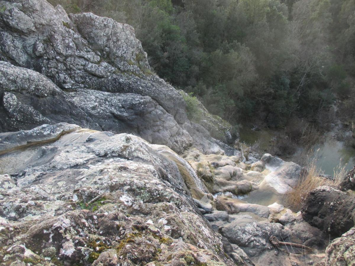 Podere Pian dei Gelsi Volterra Exterior foto